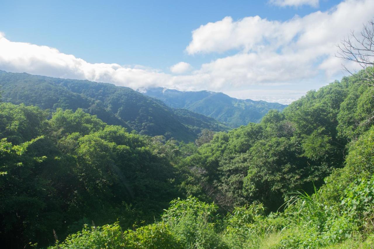 Appartamento La Casa Bonita Monteverde Esterno foto