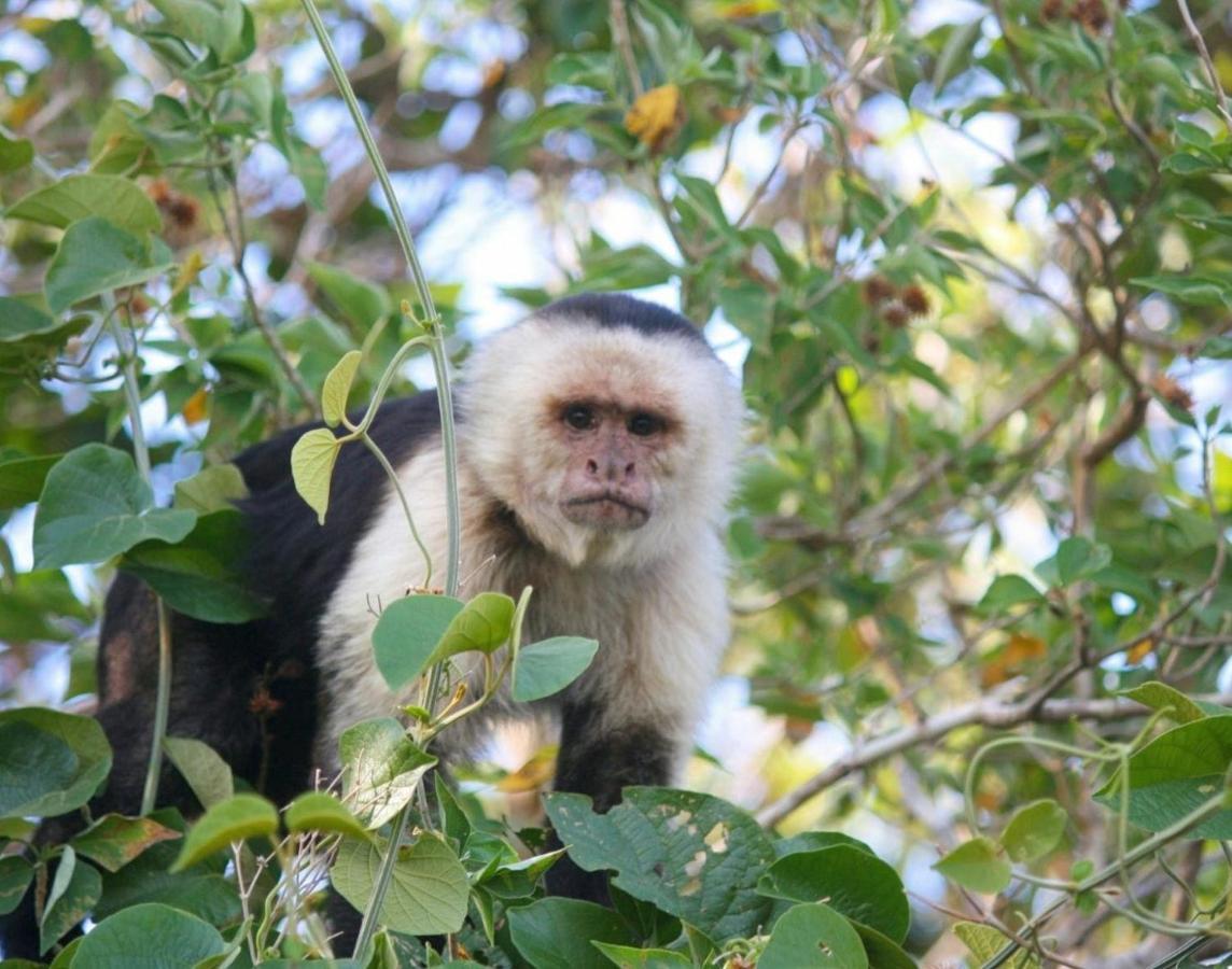 Appartamento La Casa Bonita Monteverde Esterno foto