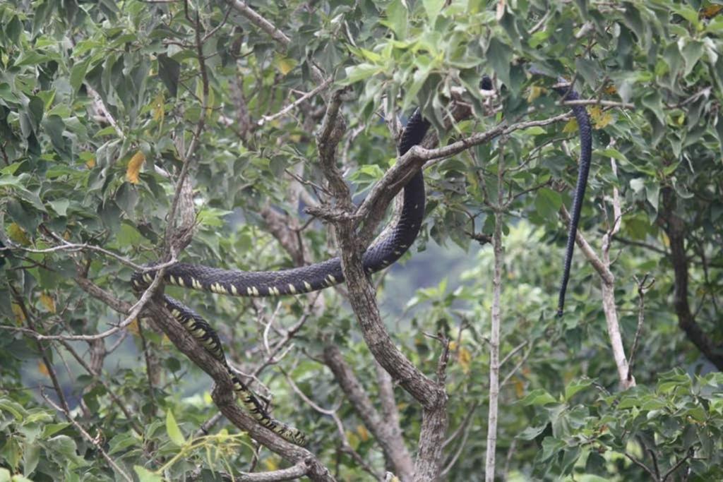 Appartamento La Casa Bonita Monteverde Esterno foto