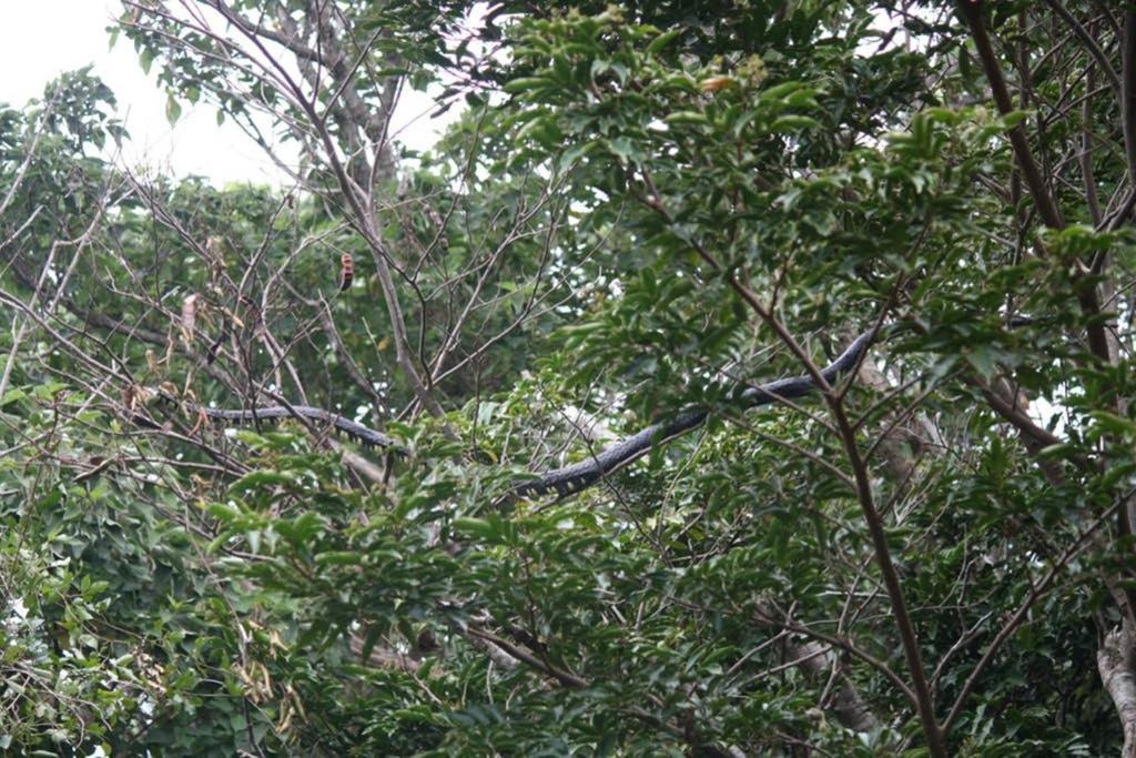 Appartamento La Casa Bonita Monteverde Esterno foto