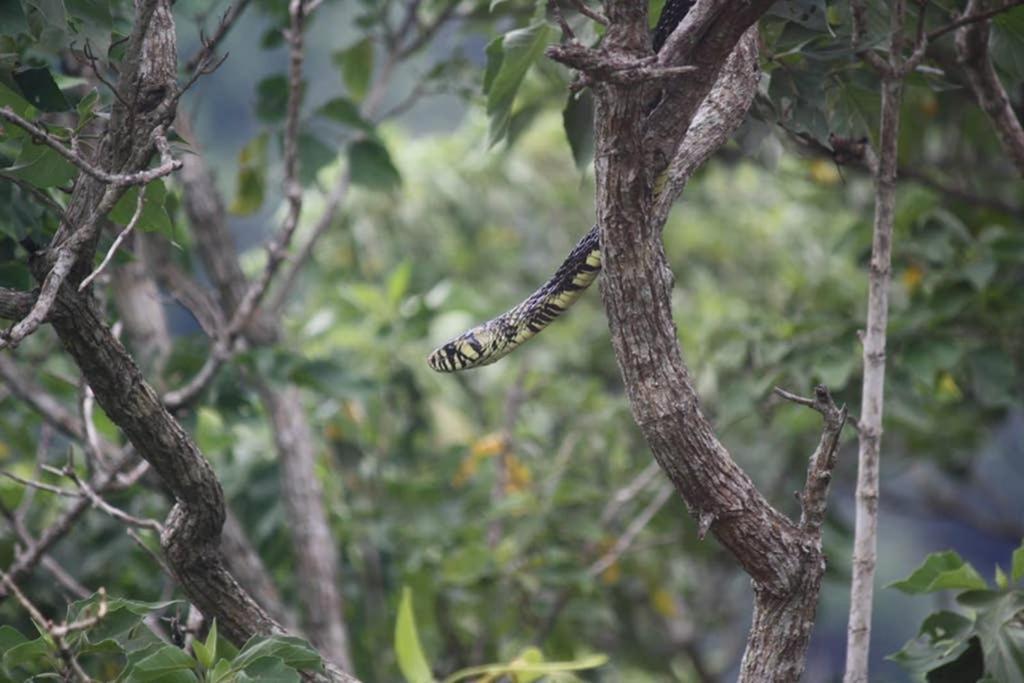 Appartamento La Casa Bonita Monteverde Esterno foto