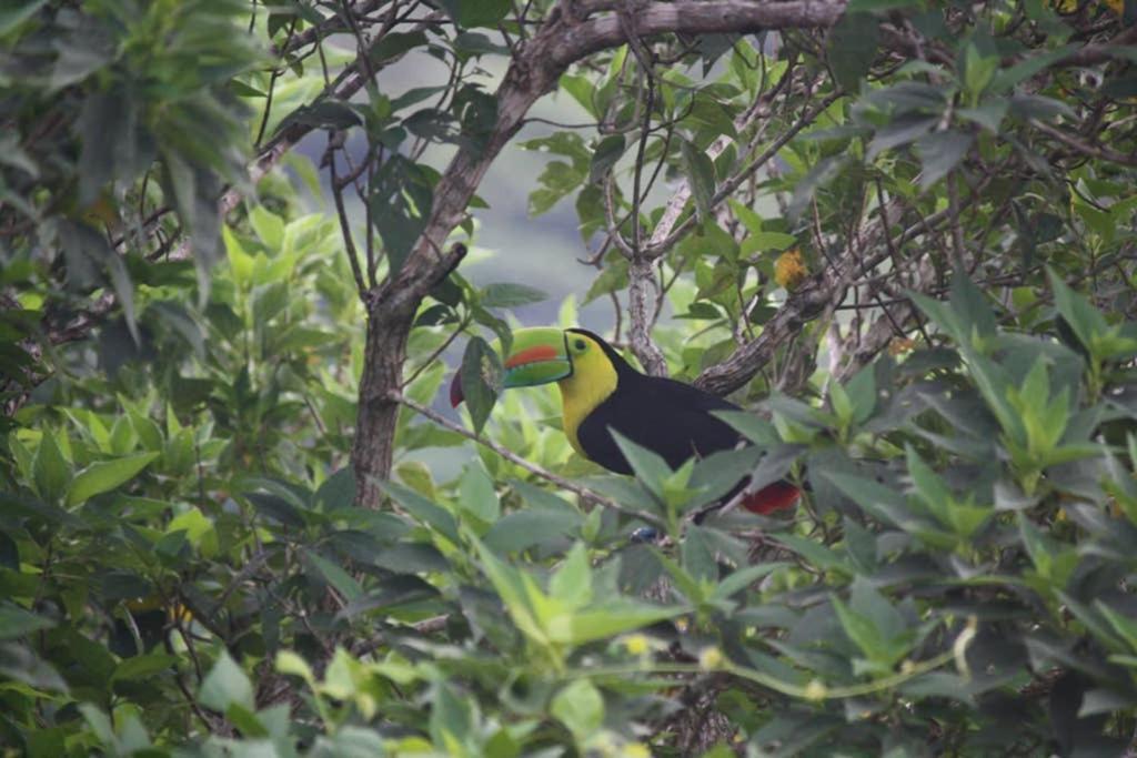 Appartamento La Casa Bonita Monteverde Esterno foto
